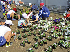 【写真】ガーデンコンテストで花を植える子どもたち