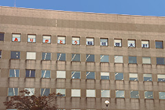 【写真】秋葉区役所6階の窓に掲げた応援メッセージ