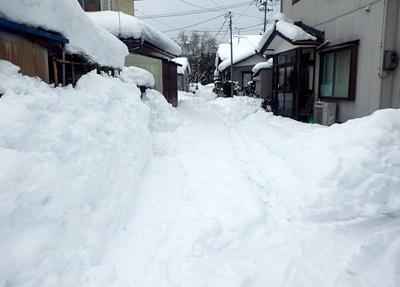 【写真】大雪の様子