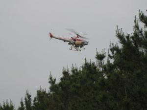 無人ヘリコプターによる薬剤散布の写真2