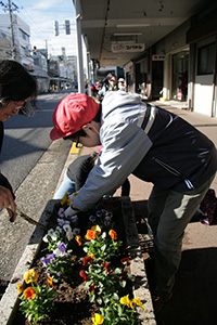 万代町通のプランターにビオラの花を植える活動
