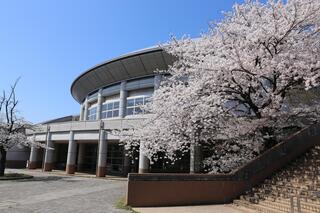 東総合スポーツセンターの桜
