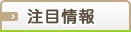 注目情報