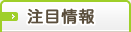 注目情報