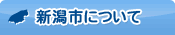 新潟市について