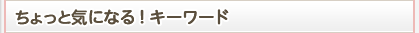 ちょっと気になる！キーワード