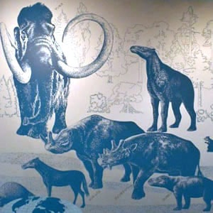 哺乳類ナウマン象、オオカミ