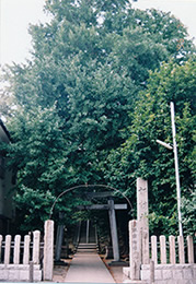 現在の新崎諏訪神社