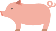 誕生から出荷までの豚のイラスト