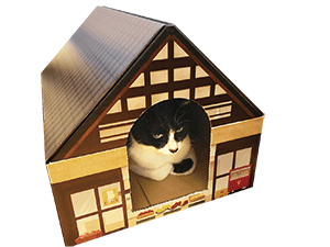 猫の家にもなる箱の写真