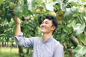 ＪＡ新潟みらい　しろね果樹部会日本なし専門部副専門部長の写真