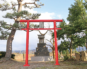 赤い鳥居の向こうにひっそりと建つ恙虫神社の写真。