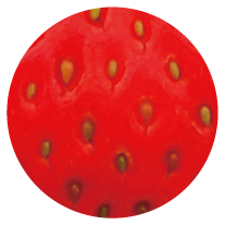 イチゴの表面のアップ写真