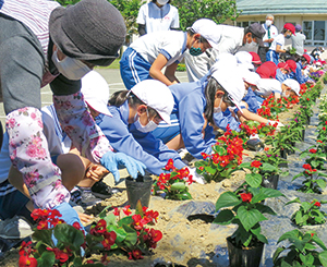 地域の人と共に赤い花の苗を植えている3・4年生の写真