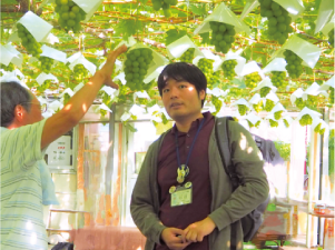 池田観光果樹園でブドウについて話を聞いている杉崎さんの写真