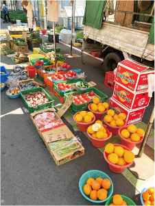 ユーザーネーム「fuwari_kinako」さん。白根市でミカンやトマトをザルに入れ店頭に並べている写真