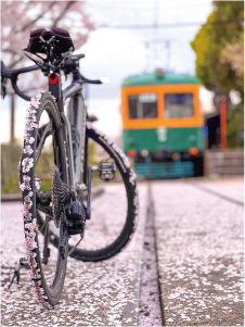 ユーザーネーム「daifuku_pedal」さん。桜の花びら広がる線路と遠くにかぼちゃ電車の車体、手前には桜の花びらがタイヤにくっ付いている自転車の写真
