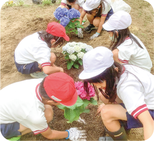 庄瀬小学校　花を植えている写真