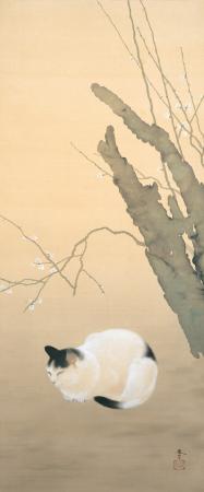 菱田春草《猫梅》1906年 絹本彩色 足立美術館蔵