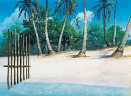 Coo　遠い海から来たクー《マナ島の砂浜》1993年（C）Coo製作委員会