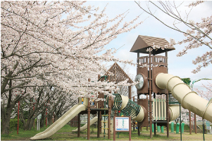 西川ふれあい公園の桜