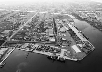 写真　本州日本海側最大のコンテナ取扱量を誇る新潟東港コンテナターミナル
