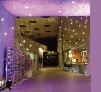 期間中は同運動のシンボル・パープルリボンにちなみ、江南区文化会館内を紫色にライトアップします