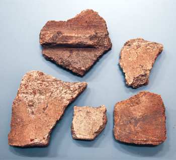 牡丹山諏訪神社古墳から出土した埴輪片