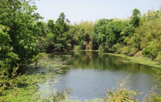 ドンチ池の写真