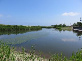 松浜の池の写真