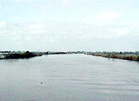 信濃川(信濃川)写真