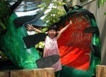 ハエトリソウの大模型の写真