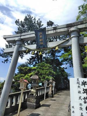坂井神社