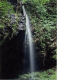 金津の滝写真