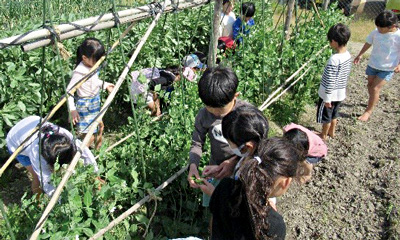 【写真】子どもたちが畑で作業している様子