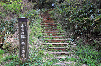 【写真】秋葉丘陵環境整備