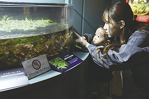 新潟県立植物園にて