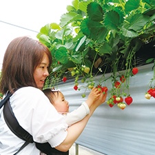 いちご狩りや植物園などにお出掛け！