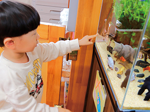 水槽にお魚がいるよ