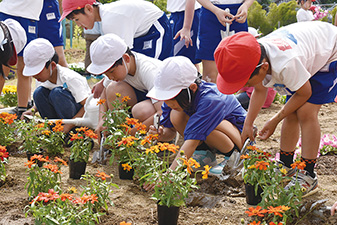 小合小学校の児童が花の苗を植えている様子を撮った写真