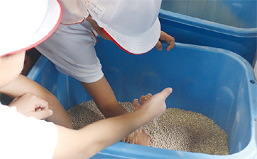 もち麦の種に触れる園児たちを撮った写真