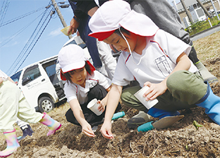 もち麦の種まきを体験する園児たちを撮った写真