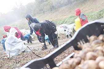 水仙の球根を植えるボランティアの様子を撮った写真