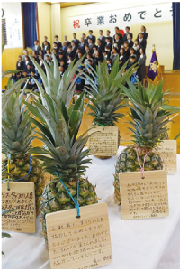 矢代田小学校卒業式とメッセージが添えられたパイナップル