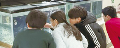 サケの稚魚の世話をする様子