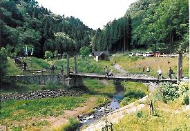 大沢森林公園－風景写真1