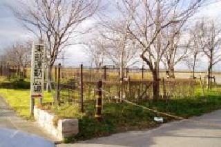 新津東部運動広場外観