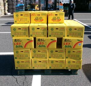 積まれた有田みかん