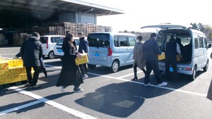 有田みかん　積み込み