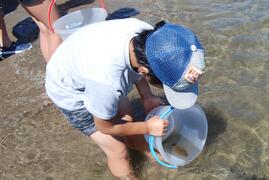 ヒラメ稚魚の放流
